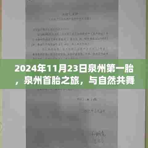 泉州首胎之旅，与自然共舞，探寻内心平静的奇妙探险之旅（2024年11月23日）