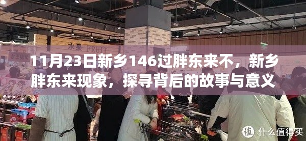 新乡胖东来现象背后的故事与意义探寻,11月23日胖东来新乡之行揭秘