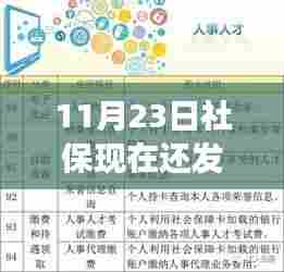 11月23日社保动态,社保卡升级与发放的最新变化,学习铸就自信与成就之路