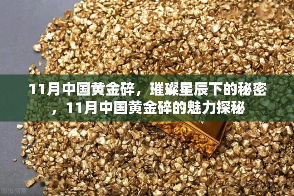 璀璨星辰下的秘密,揭秘中国黄金碎的魅力探秘之旅