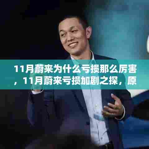 11月蔚来亏损加剧深度解析,原因与观点