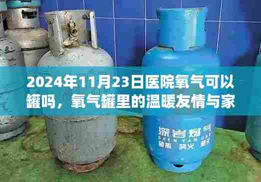 项目介绍 第498页