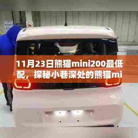 熊猫mini200最低配乐园探秘,小巷深处的特色小店