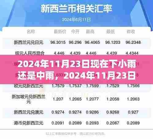 2024年11月23日雨情解析，小雨还是中雨？