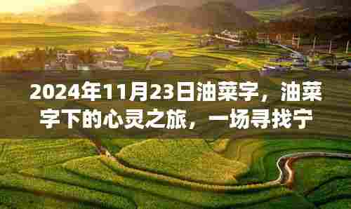 新闻动态 第521页