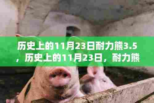 耐力熊3.5的诞生,历史上的11月23日里程碑事件及其深远影响