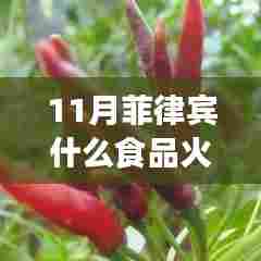 菲律宾美食风潮揭秘，十一月火热盛行的食品盘点