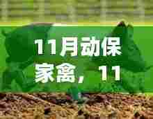 11月动保家禽,家禽养殖与动物权益的较量
