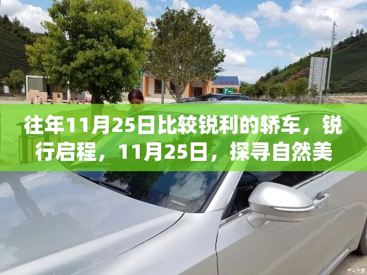 贵不期骄 第3页