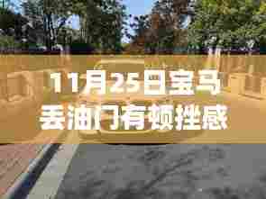 宝马油门顿挫感问题解析与应对指南(11月25日专刊)