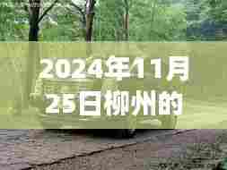 柳州凯迪拉克4S店励志篇章，超越梦想，驾驭未来