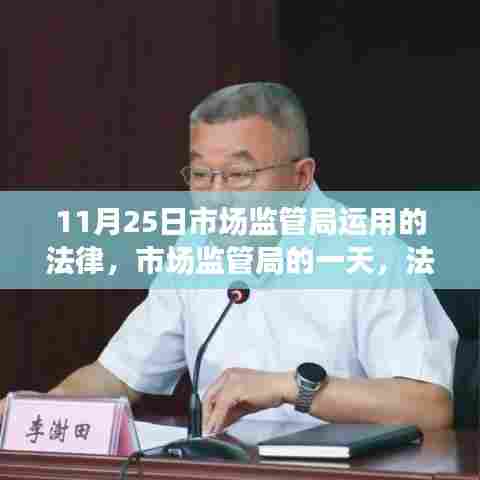 市场监管局的一天,法律之光下的温馨故事纪实