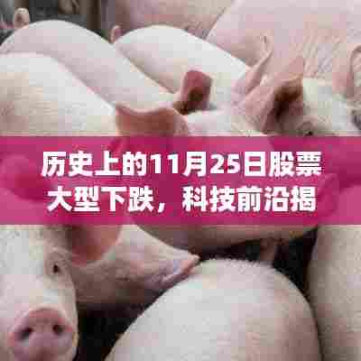 历史上的股市震荡与智能生活革命,揭秘科技前沿与今日突破性进展的关联影响