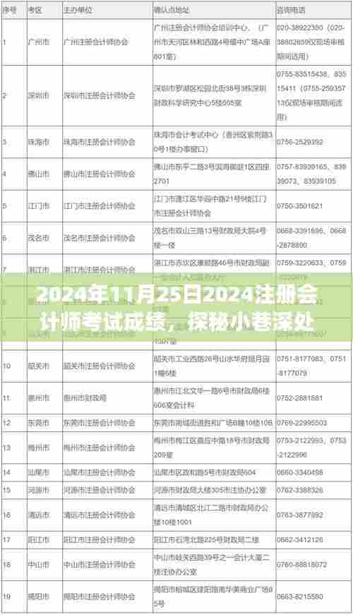 探秘小巷深处的会计梦想验证地，揭秘2024年注册会计师考试成绩揭晓之时！