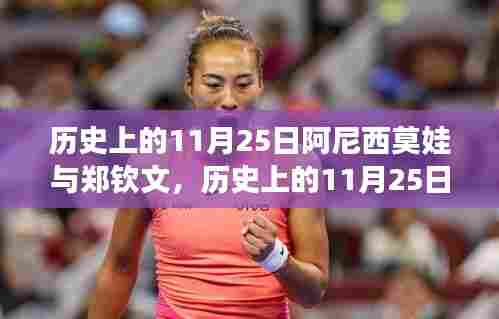 阿尼西莫娃与郑钦文交锋瞬间,历史回顾与对决时刻