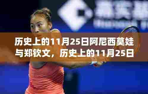 阿尼西莫娃与郑钦文交锋瞬间,历史回顾与对决时刻
