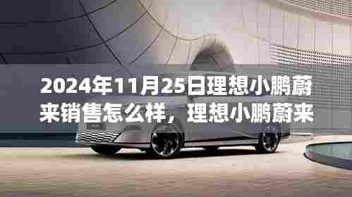 探寻未来汽车市场新纪元，理想小鹏蔚来销售风云录，展望2024年销售趋势