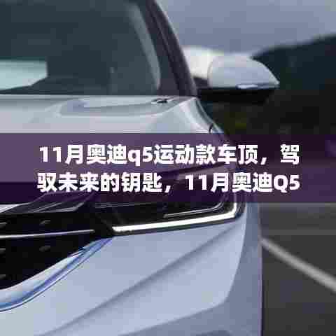 11月奥迪Q5运动款车顶,驾驭未来,自我重塑的奇妙旅程