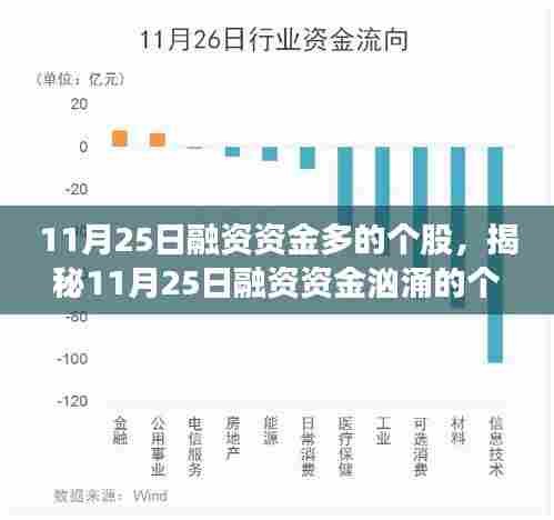揭秘11月25日融资资金汹涌的个股，洞悉市场动向，把握投资机会！