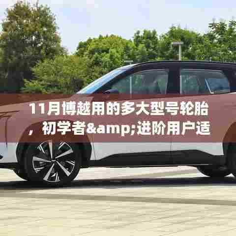 博越汽车十一月热门型号轮胎选择与安装指南,初学者到进阶用户的详细步骤与推荐轮胎型号