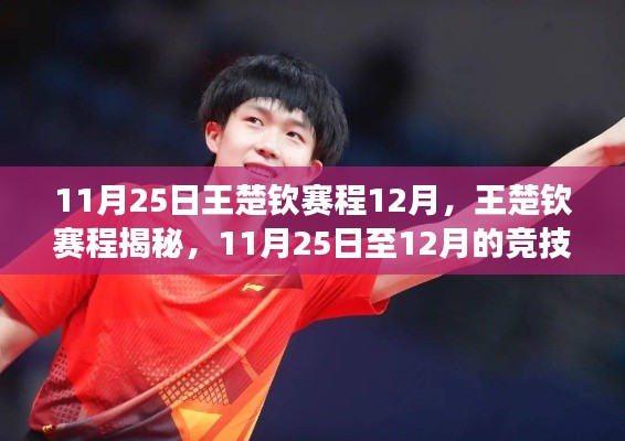 王楚钦11月25日至12月赛程揭秘,深度解析竞技之旅