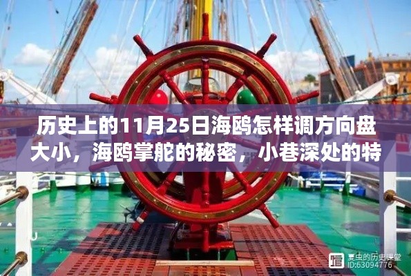 海鸥掌舵的秘密与小巷特色小店背后的方向盘故事,历史上的11月25日揭秘海鸥方向盘调整大小的历史与故事