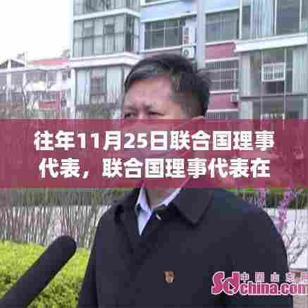 联合国理事代表的角色与贡献,全球治理的重要力量——历年11月25日回顾分析
