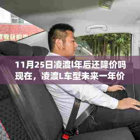 凌渡L车型未来一年价格走势预测,11月25日后的市场动向分析