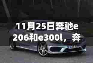 奔驰E206与E300L购车指南,11月25日购车全攻略