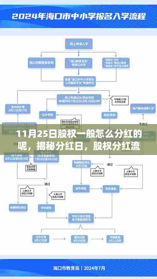 揭秘股权分红流程，从分红日至细节解析的指南（11月25日篇）