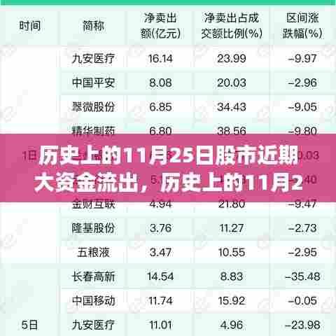 历史上的11月25日股市资金流出深度解析及应对策略指南