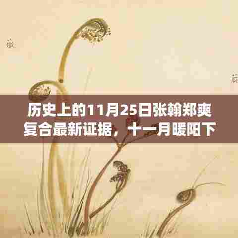 张翰与郑爽在十一月暖阳下的重逢，历史证据揭示复合温馨故事