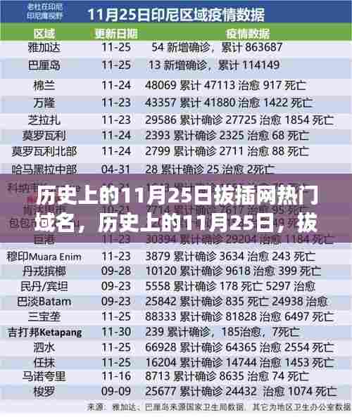 历史上的11月25日,拔插网域名的探索之旅与心灵平和的自然美景之旅