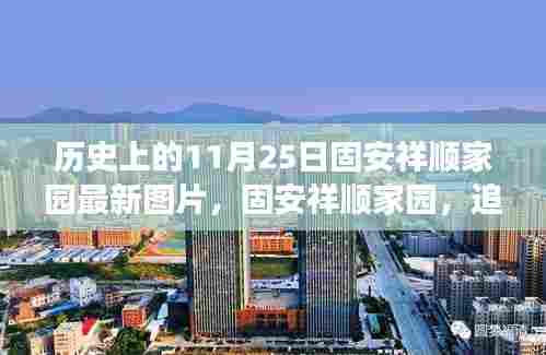 荆钗布裙 第5页