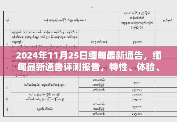2024年11月25日缅甸最新通告,缅甸最新通告评测报告,特性、体验、竞品对比及用户群体分析(2024年11月版)