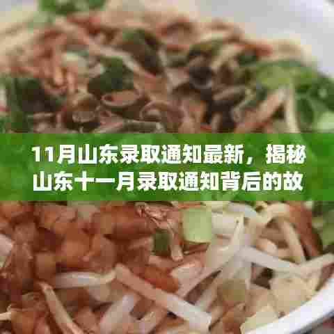 山东录取通知最新动态与小巷深处的探秘之旅,特色小店的背后故事揭秘