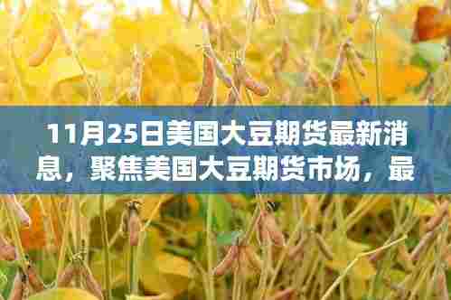 11月25日美国大豆期货市场动态与趋势分析,最新消息一览