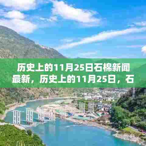 项目介绍 第480页