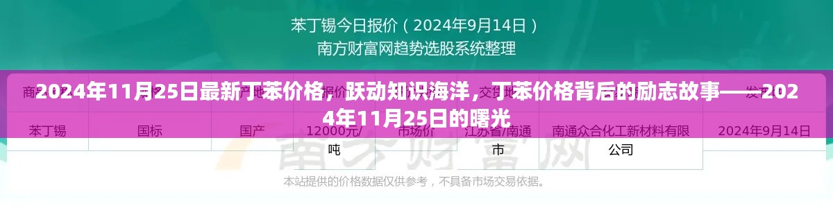 探寻丁苯价格背后的故事,曙光中的励志篇章(2024年11月25日最新资讯)