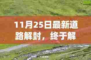 11月25日最新道路解封,终于解封了!踏上自然美景的探索之旅,寻找内心的平和宁静