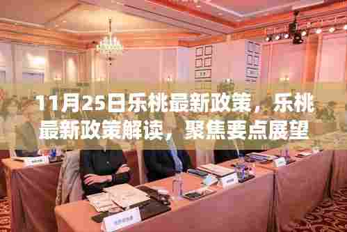 乐桃新政解读与展望,聚焦未来发展趋势