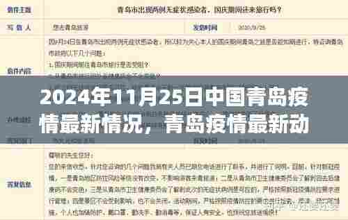 青岛疫情最新动态,聚焦防控进展与现状,共同关注青岛疫情最新情况(2024年11月25日)