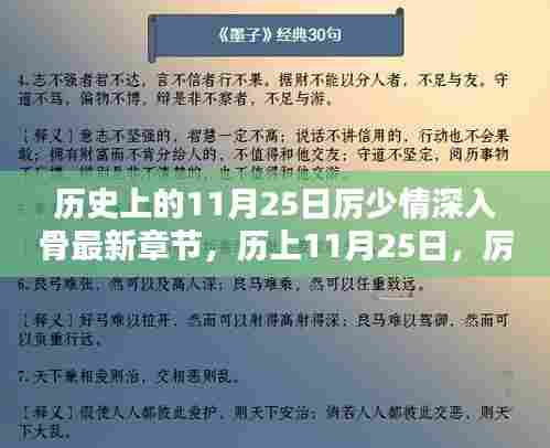 时代背景下的情感烙印,厉少情深入骨的历史变迁与影响——11月25日最新章节揭秘