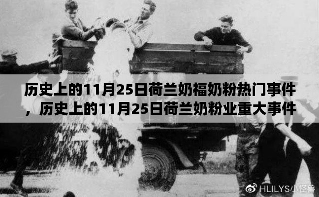 回顾历史上的荷兰奶福奶粉事件,聚焦荷兰奶粉业重大事件与奶福奶粉的历程