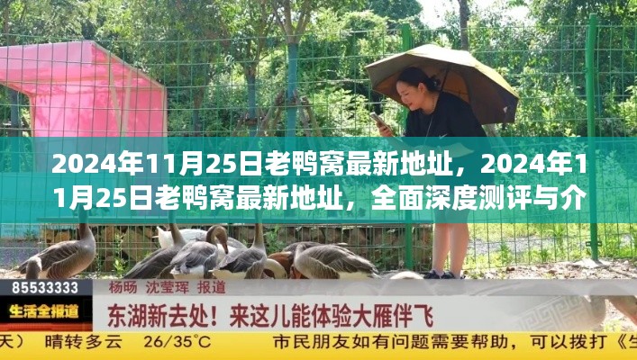 2024年11月25日老鸭窝最新地址全面深度测评与介绍