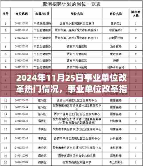 事业单位改革热门情况解析与应对策略（2024年11月版）