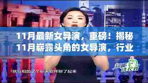 11月最新女导演,重磅!揭秘11月崭露头角的女导演,行业新星,引领影视新潮流