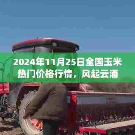 揭秘2024年玉米市场热门价格行情，风起云涌