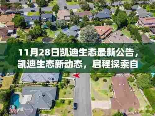 凯迪生态新动态,启程探索自然美景,寻求内心宁静与平和