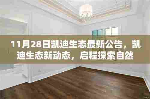 凯迪生态新动态,启程探索自然美景,寻求内心宁静与平和